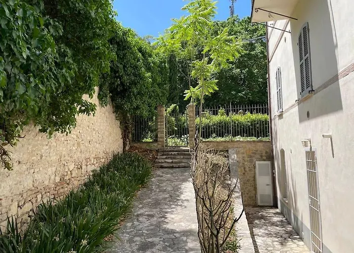 Belvedere